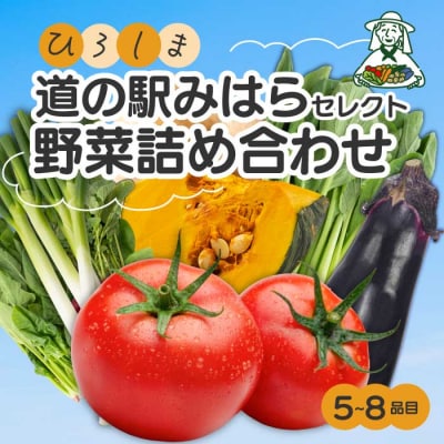 【お試し】道の駅セレクト 旬野菜つめあわせ [043-044] 