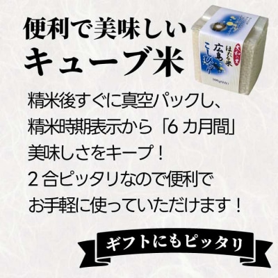 キューブほたる米「大和の里」こしひかり 300g×3個 [066-016]