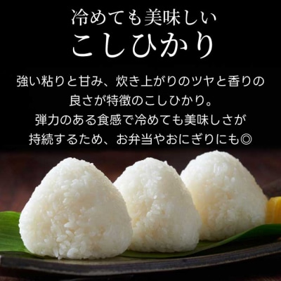 キューブほたる米「大和の里」こしひかり 300g×3個 [066-016]