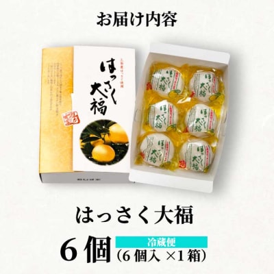【先行受付】はっさく大福6個入 2026年11月頃～順次発送予定[021-004]