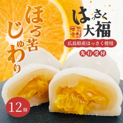 【先行受付】はっさく大福6個入×2箱 2026年11月頃～順次発送予定[021-005]