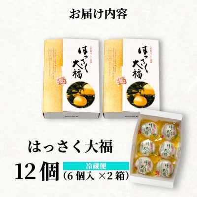 【先行受付】はっさく大福6個入×2箱 2026年11月頃～順次発送予定[021-005]