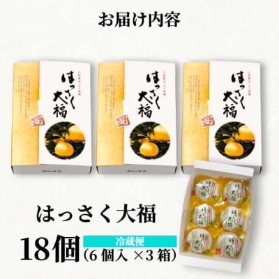 【先行受付】はっさく大福6個入×3箱 2026年11月頃～順次発送予定[021-006]