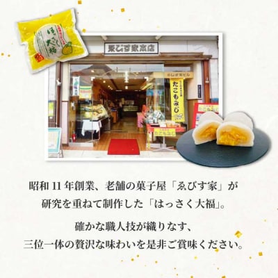 【先行受付】はっさく大福6個入×3箱 2026年11月頃～順次発送予定[021-006]