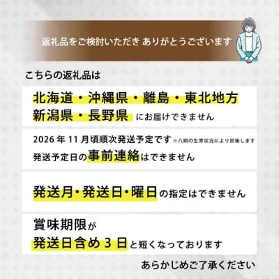 【先行受付】はっさく大福6個入×3箱 2026年11月頃～順次発送予定[021-006]