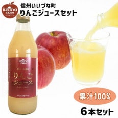 りんごジュース 100% 1000ml &times; 6本 セット