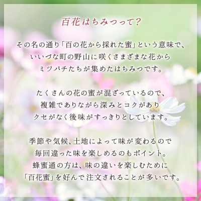はちみつ  百花蜜　550g