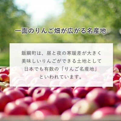 りんご 特産品 加工品 セットA