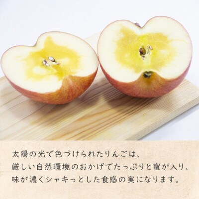 りんご 特産品 加工品 セットA