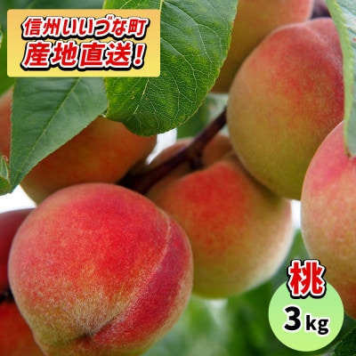 もも 飯綱町産 品種おまかせ 3kg | 長野県飯綱町 | ふるさと納税 もも 飯綱町産 品種おまかせ 3kg | 長野県飯綱町 | ふるさと納税