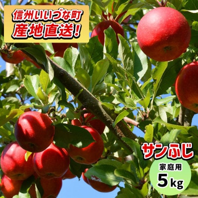 【訳あり】 りんご サンふじ 5kg