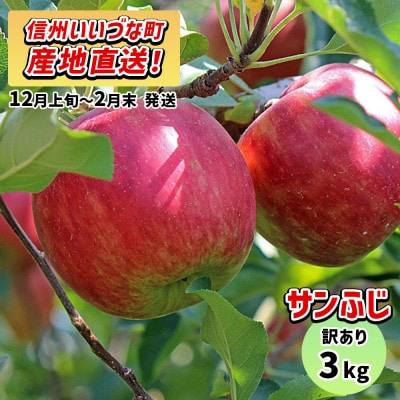 【訳あり】 りんご サンふじ 3kg