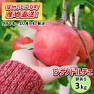 【訳あり】 りんご シナノドルチェ 9月下旬～10月中旬 3kg