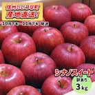 【訳あり】 りんご シナノスイート 10月下旬～11月下旬 3kg