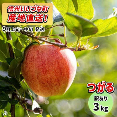 【訳あり】 りんご つがる 9月上旬~9月中旬 3kg 家庭用