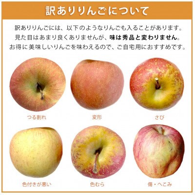 【訳あり】 りんご 秋映 10月中旬から10月末 5kg