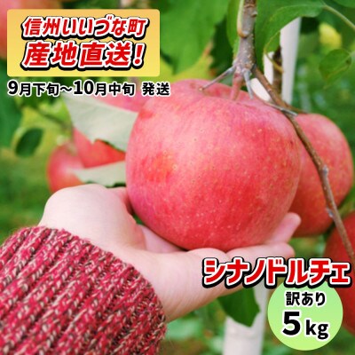 【訳あり】 りんご シナノドルチェ 9月下旬～10月中旬 5kg
