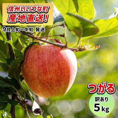 【訳あり】 りんご つがる 9月上旬~9月中旬 5kg