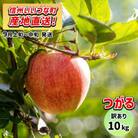 【訳あり】 りんご つがる 9月上旬~9月中旬　10kg