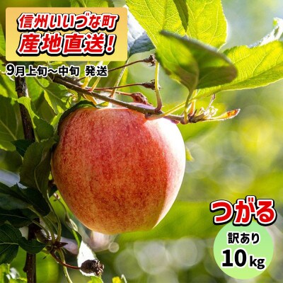 【訳あり】 りんご つがる 9月上旬~9月中旬　10kg
