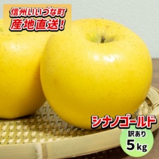 【訳あり】 りんご シナノゴールド 5kg