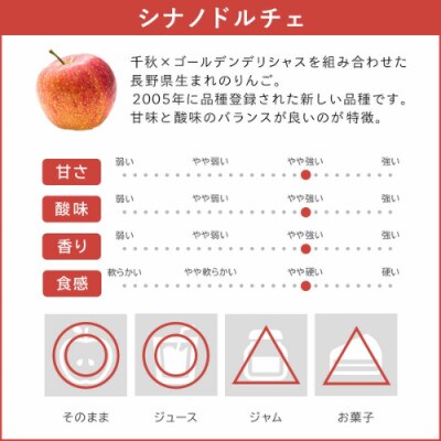 【りんご】 シナノドルチェ 秀 5kg 先行予約 10月上旬以降順次発送