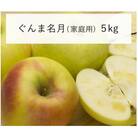 【訳あり】 りんご ぐんま名月 2025年11月より順次発送 5kg