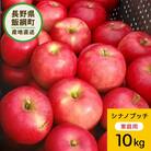 【訳あり】 りんご ぐんま名月 2025年11月より順次発送 10kg