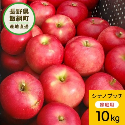 【訳あり】 りんご ぐんま名月 2025年11月より順次発送 10kg