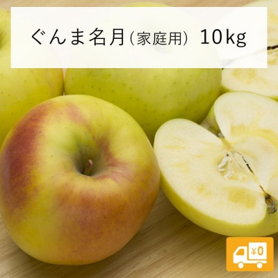 【訳あり】 りんご ぐんま名月 2025年11月より順次発送 10kg