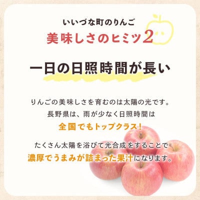 【訳あり】 りんご ぐんま名月 2025年11月より順次発送 10kg