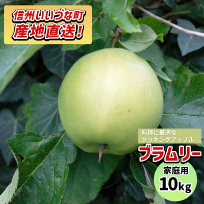 【訳あり】 りんご ブラムリー 2025年9月～11月発送 10kg