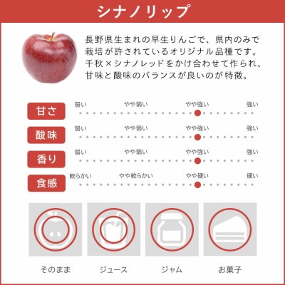 【訳あり】 りんご シナノリップ 2025年8月～9月発送 10kg