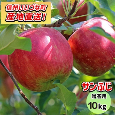 りんご サンふじ 12月上旬より順次発送予定 贈答用 10kg