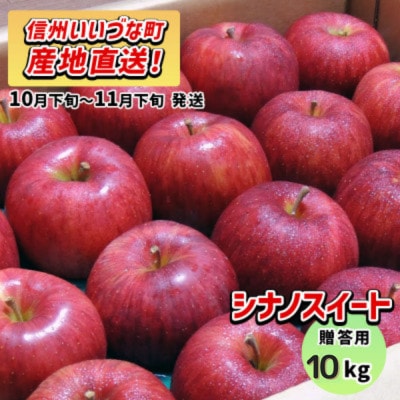 りんご シナノスイート 10月下旬～11月下旬で発送予定 贈答用 10kg