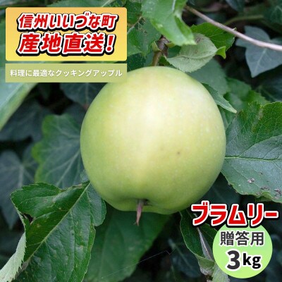 りんご ブラムリー 贈答用 9月中旬～11月下旬発送予定 3kg