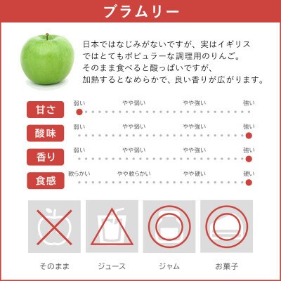 りんご ブラムリー 贈答用 9月中旬～11月下旬発送予定 3kg