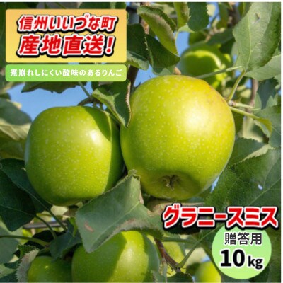 りんご グラニースミス 11月下旬より順次発送予定 贈答用 10kg