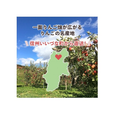 りんご つがる 贈答用 9月上旬～9月中旬発送予定 10kg
