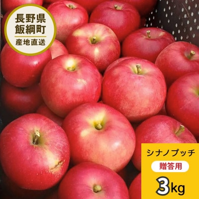 りんご シナノプッチ 贈答用 9月下旬～10月中旬発送予定 3kg