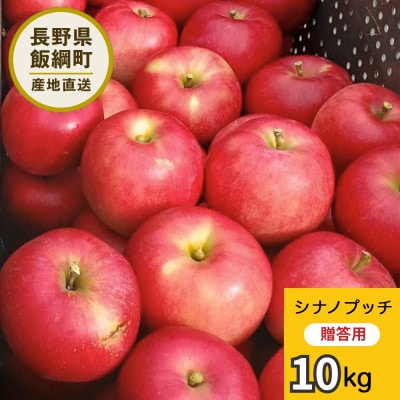 りんご シナノプッチ 贈答用 9月下旬～10月中旬発送予定 10kg