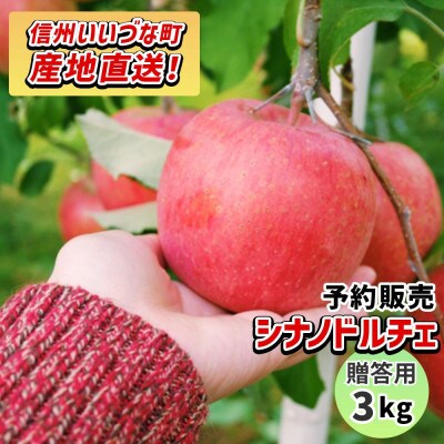 りんご シナノドルチェ 贈答用 9月下旬～10月中旬発送予定 3kg