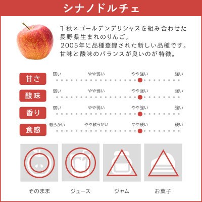 りんご シナノドルチェ 贈答用 9月下旬～10月中旬発送予定 10kg