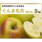 りんご ぐんま名月 贈答用 2025年11月より順次発送予定 5kg