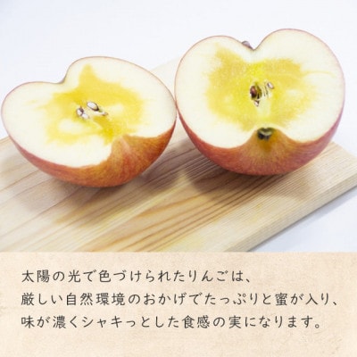 おまかせ　りんごジュース250ml×5本セット