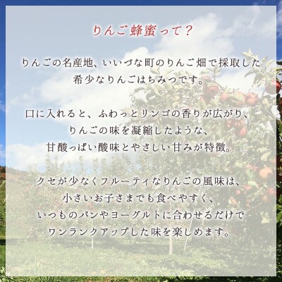 はちみつセット りんご蜜・アカシア蜜(300g、計2個)