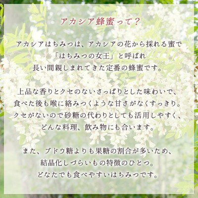 はちみつセット りんご蜜・アカシア蜜(300g、計2個)