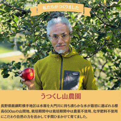 うつくし山農園 栽培期間中農薬不使用米 こしひかり(精米) 10kg