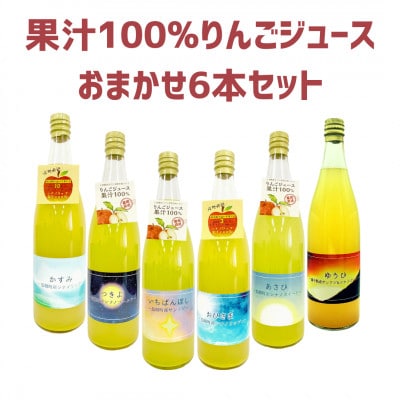 相澤農園 りんごジュース おまかせ6本セット 100% 720ml×6本