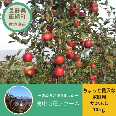 庚申山荘ファーム りんご ちょっと贅沢な家庭用 サンふじ 10kg(22～40個)